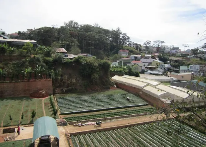 Dalat Friendly Fun